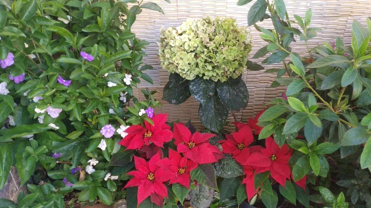 Mai Dalat Homestay المظهر الخارجي الصورة